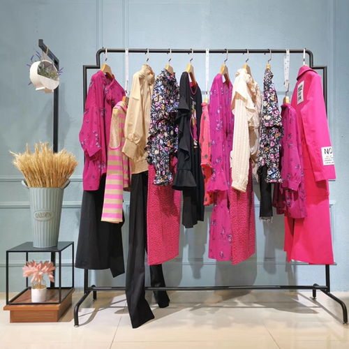 藏九 免加盟費(fèi)的品牌折扣女裝，開(kāi)啟批發(fā)創(chuàng)業(yè)新篇章